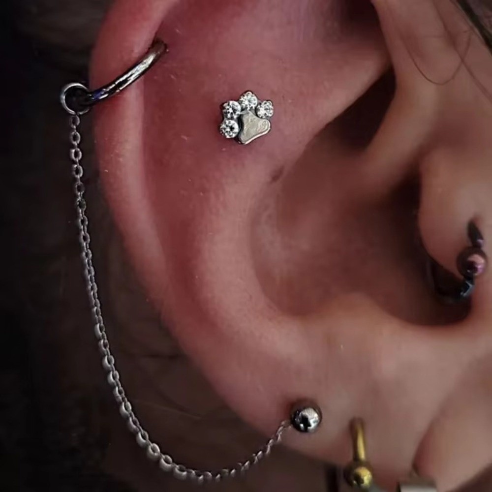 Cadena de titanio para nariz,  - Body Jewelry Titanium reseña y precio